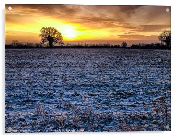 Winter Sunrise Acrylic by Ian Donaldson