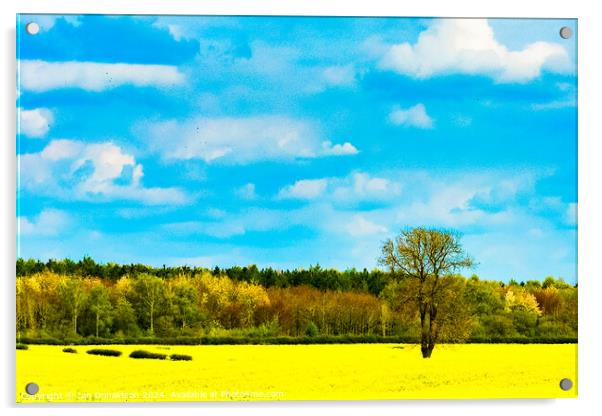 Mellow Yellow Acrylic by Ian Donaldson