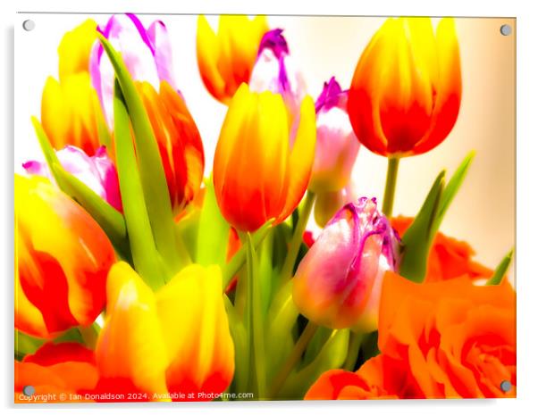 Tulips Acrylic by Ian Donaldson