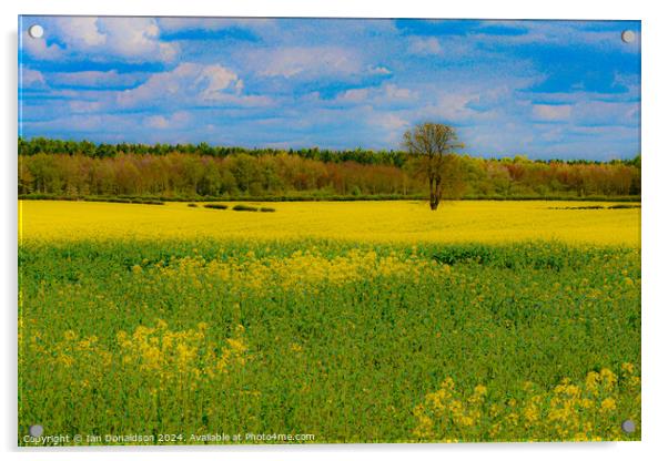 The Joy of Spring Acrylic by Ian Donaldson