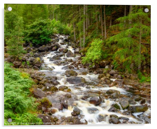 Allt Coire Rooill Acrylic by Darrell Evans