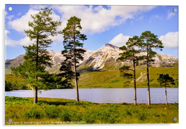 Loch Clair and Beinn Eighe Acrylic by Darrell Evans