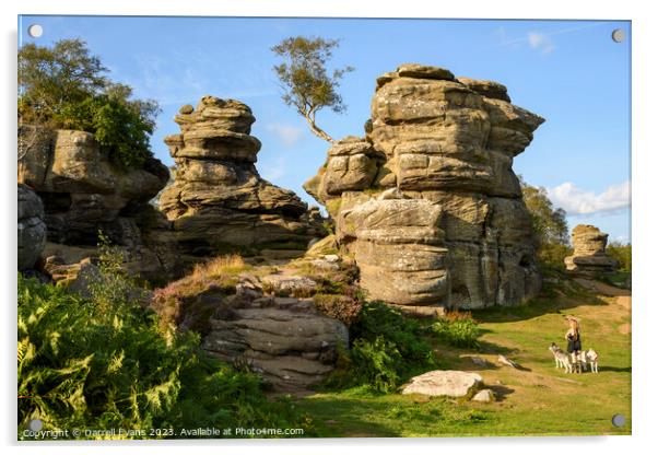 Brimham Rocks Acrylic by Darrell Evans