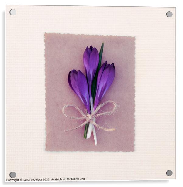 Spring card with purple crocuses  Acrylic by Lana Topoleva