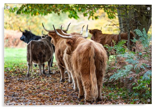 Follow The Herd Acrylic by Thomson Duff