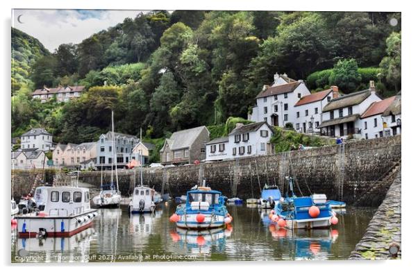 Lynmouth Harbour View Acrylic by Thomson Duff