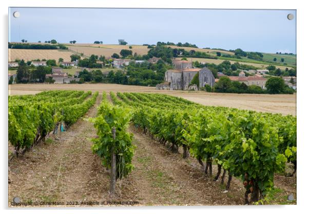 French Abbey in Charente with vineyards Acrylic by Chris Mann
