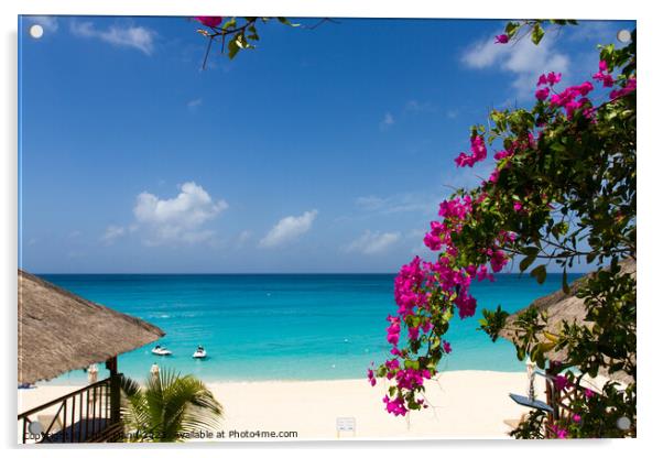 La Samanna beach St. Martin - Sint Maarten Acrylic by Chris Mann