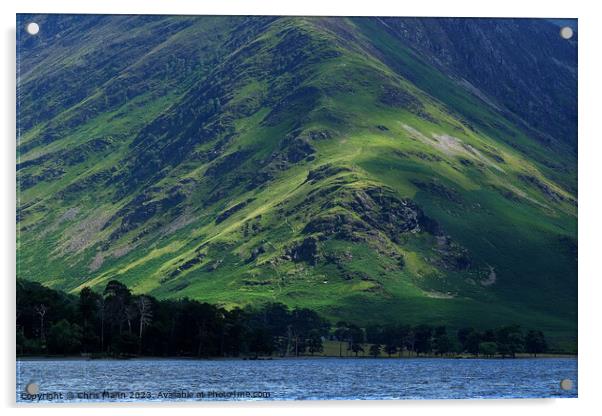 Steep fell hillside, Buttermere, Lake District, Cumbria Acrylic by Chris Mann