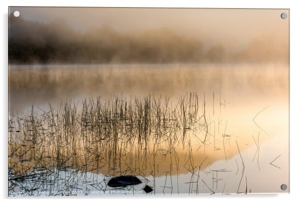 Loch Venachar Sunrise Acrylic by Peter Paterson