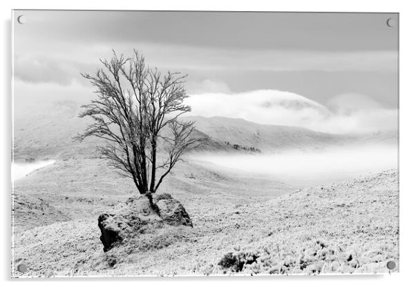 Tree in Rock in winter Acrylic by Peter Paterson