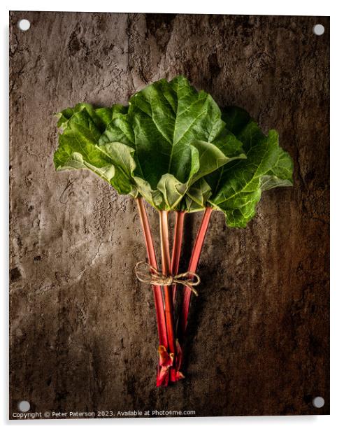 Rhubarb Acrylic by Peter Paterson