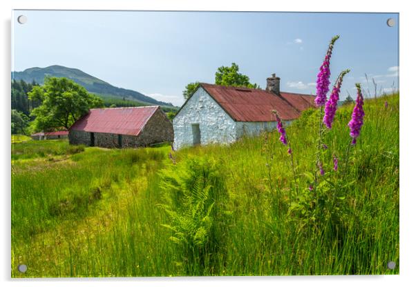 Auchendrain Township, Inveraray, Scotland Acrylic by Fraser Duff