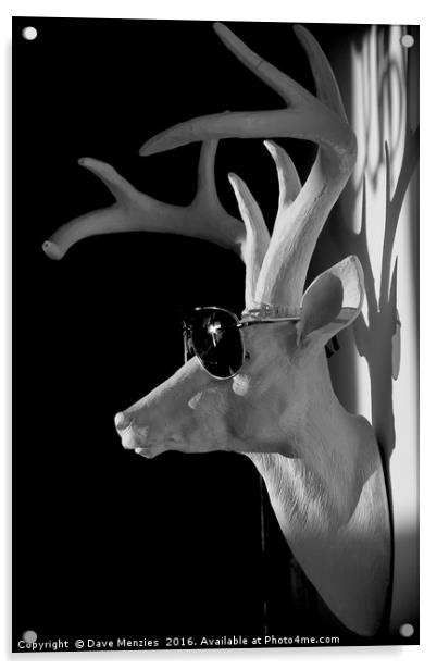 Cool Deer Acrylic by Dave Menzies