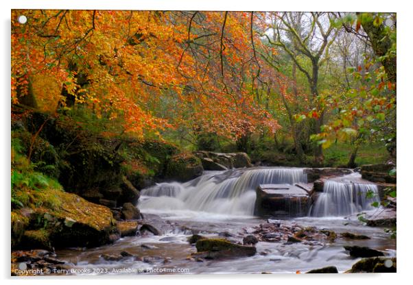 Pont Cwmfedwen Autumn Waterfall Acrylic by Terry Brooks