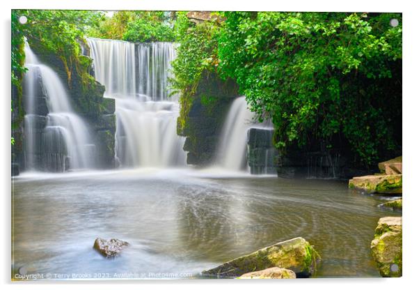 Penllergaer Falls, Swansea, Wales Acrylic by Terry Brooks