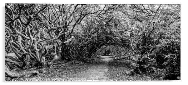 Haunted Wood of Rhododendron Black and White Acrylic by Terry Brooks