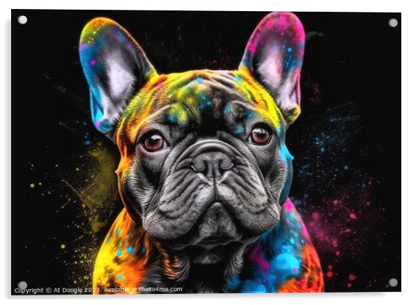 French Bulldog colour Splash Acrylic by Craig Doogan Digital Art
