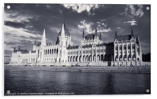 Budapest Panorama Black and White Acrylic by Stefano Senise