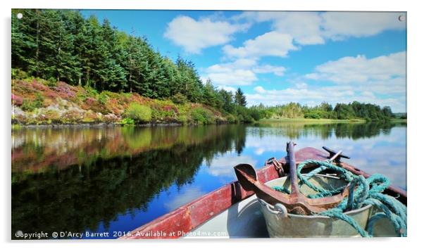 Loch Allua boat trip Cork Ireland Acrylic by D'Arcy Barrett