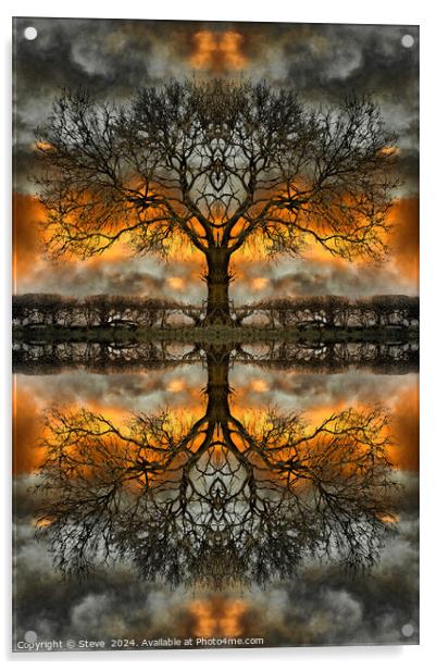 Stormy Mirrored Tree Acrylic by Steve 