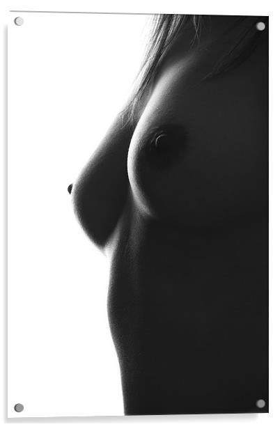 nude 2 Acrylic by Maciej Pawlikowski