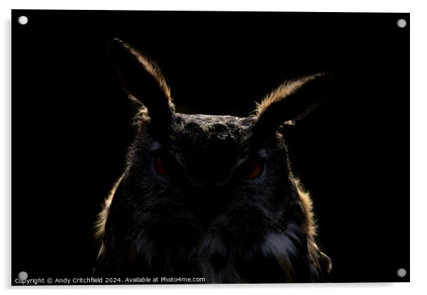 An Eagle Owl looking at the camera Acrylic by Andy Critchfield