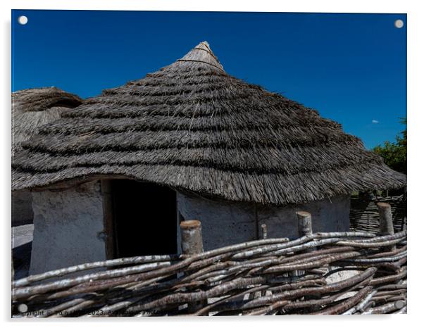 Neolithic Houses Acrylic by Tom Lloyd