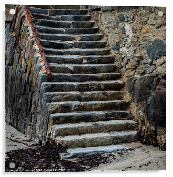 Steps Acrylic by Tom Lloyd