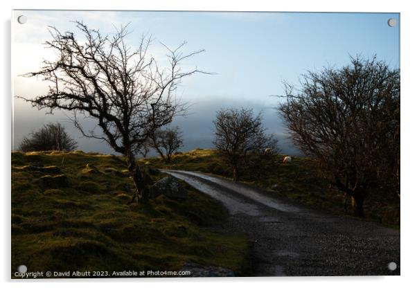 Cuilcagh Legnabrocky Trail Acrylic by David Albutt