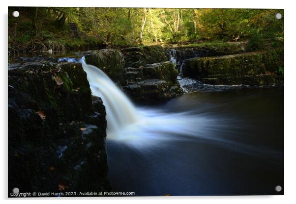 Bannu Brychniog Brecon Beacons Waterfall Acrylic by David Harris