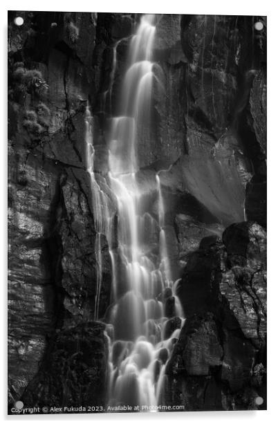 A waterfall cascading down black rock cliff Acrylic by Alex Fukuda