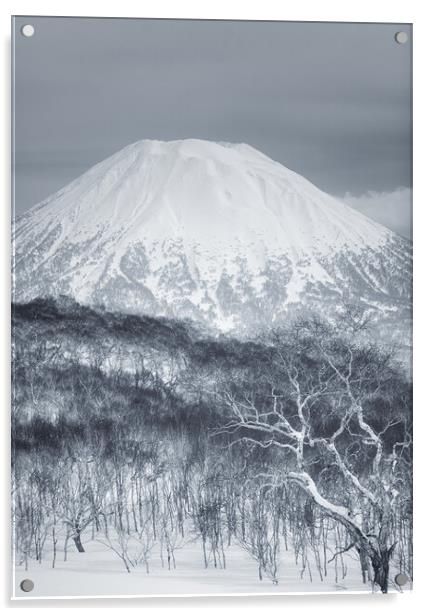 Mount Yotei Acrylic by Alex Fukuda