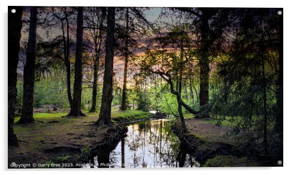 New Forest Sunset, UK Acrylic by Garry Bree