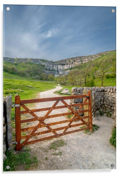 This way to Malham Cove Acrylic by Paul Grubb