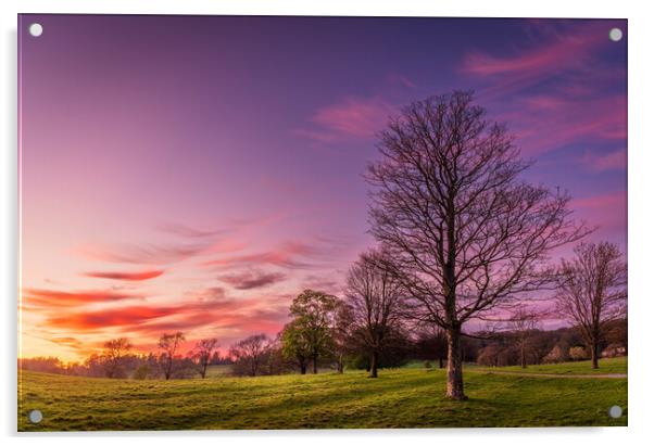 Purple Sunset over Wharfedale Acrylic by Paul Grubb