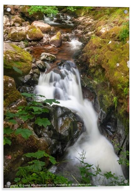 Aira Force Waterfall Acrylic by David Macdiarmid