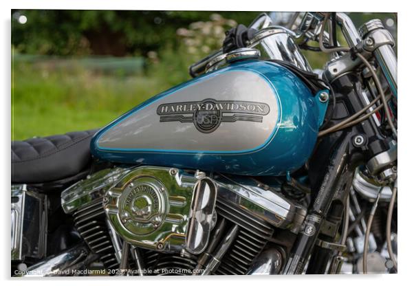 Harley Davidson Acrylic by David Macdiarmid