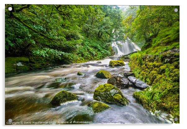 Llanberis Waterfall, Wales Acrylic by David Macdiarmid
