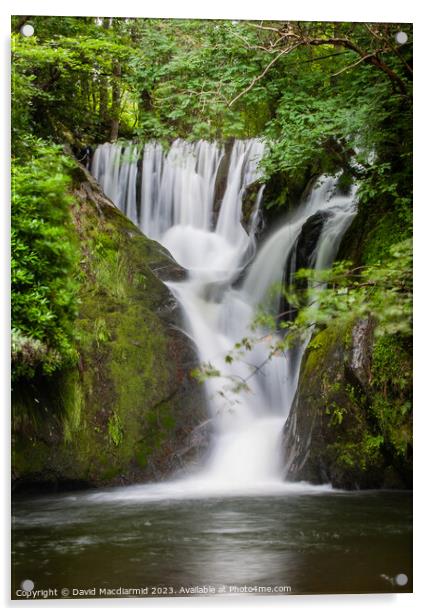 Furnace Falls, Machynlleth Acrylic by David Macdiarmid