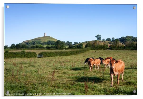 Over the pasture to the Tor Acrylic by David Macdiarmid