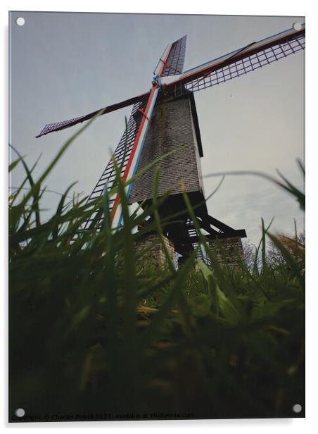 Bruges windmill Acrylic by Charles Powell
