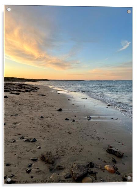 Beadnell Bay Northhumberland sunset Acrylic by Helen Reid