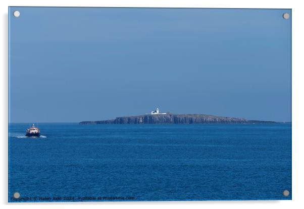 Northhumberland Farne lighthouse with a passenger boat Acrylic by Helen Reid