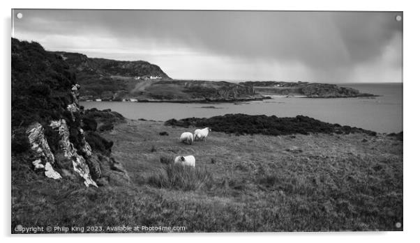 Colonsay Sheep with Rain Approaching Acrylic by Philip King