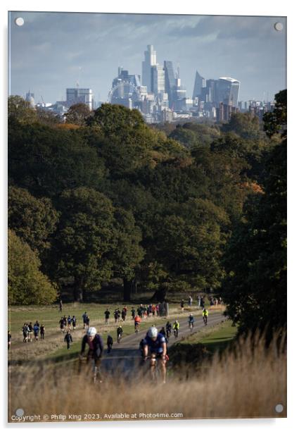 London Skyline from Richmond Park Acrylic by Philip King