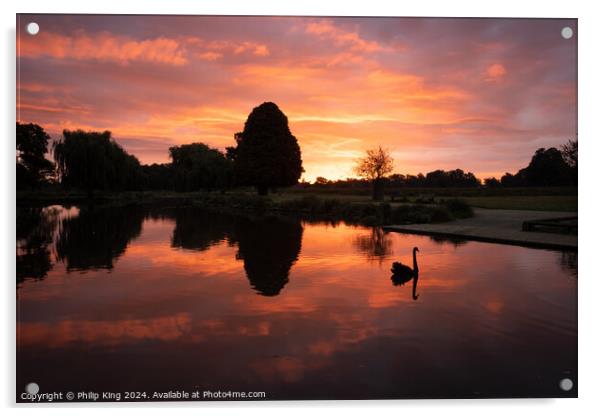 Sunrise at Bushy Park Acrylic by Philip King