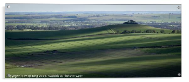 Vale of Pewsey Acrylic by Philip King