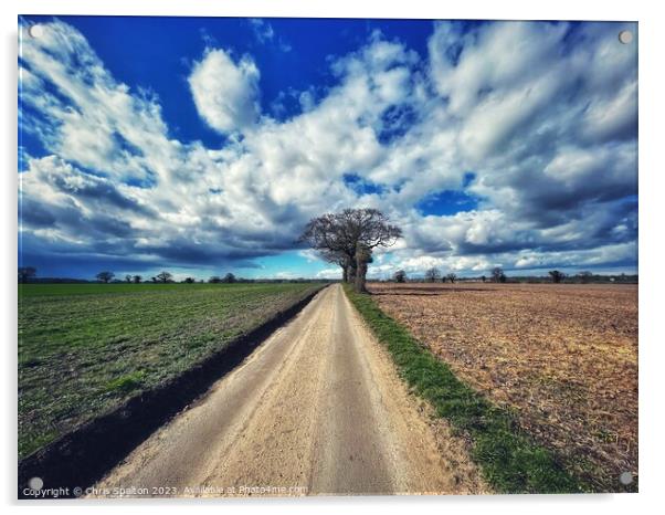 Outdoor road with big sky and tree Norfolk Acrylic by Chris Spalton