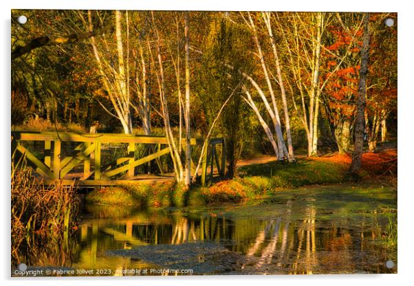 Autumnal Blaze: Ireland's Rustic Tapestry Acrylic by Fabrice Jolivet